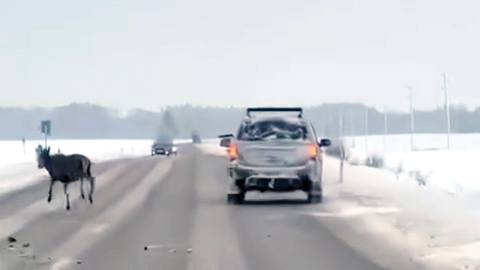Video ekrānuzņēmums, kas uzņemts pagājušā gada 9. decembrī Saldus novada Jaunlutriņu pagastā uz autoceļa Saldus—Kuldīga